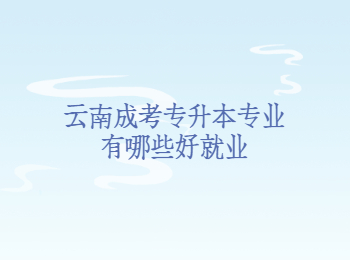 云南成考專升本專業(yè)