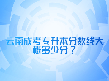 云南成考專升本分數(shù)線