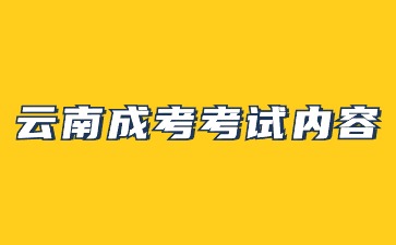 2024年云南成考考試內容是什么？