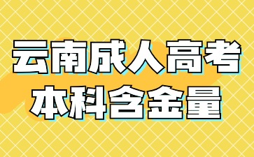 2024年云南成人高考本科學歷畢業(yè)含金量怎么樣？